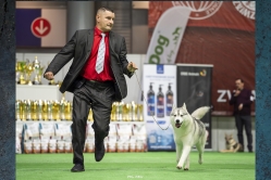 Wystawa Sindi Międzynarodowa Kielce 30.11-1.12.2024